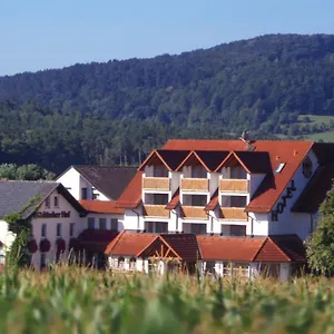 *** Hotel Hotel-restaurant Fränkischer Hof Deutschland