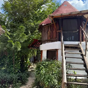 https://tree-house.tulum-hotels.net